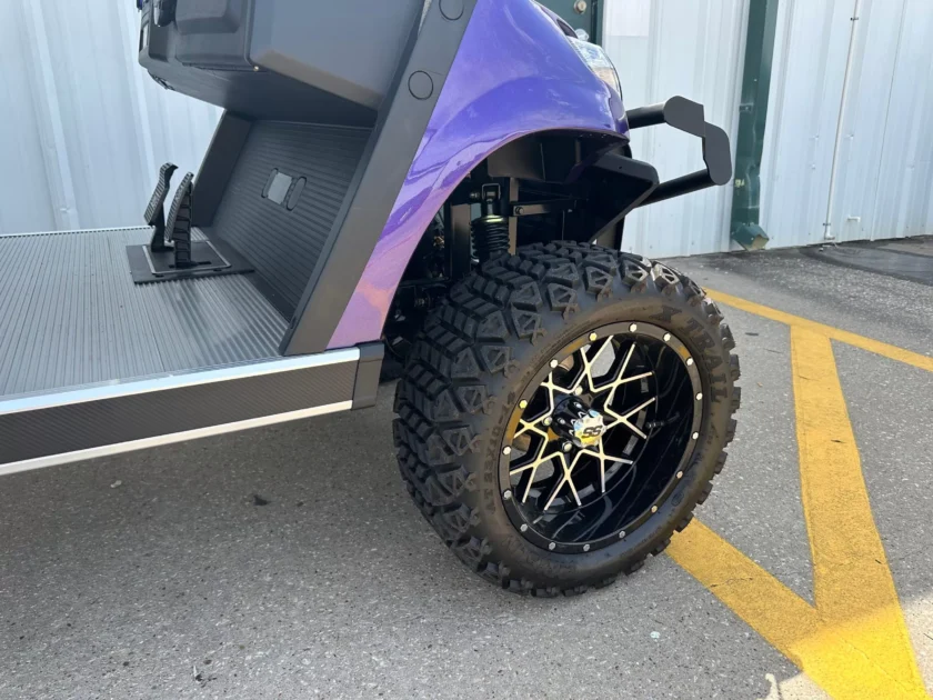 2024 Advanced EV AEV 6 Series Limo - Image 2