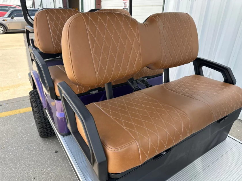 2024 Advanced EV AEV 6 Series Limo - Image 8