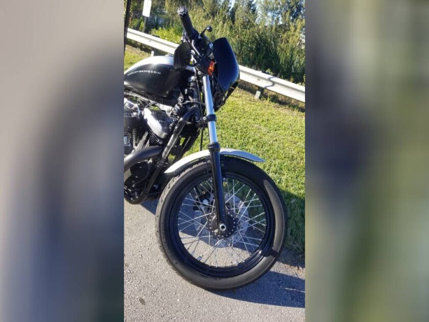2009 Harley-Davidson CUSTOM - Image 2
