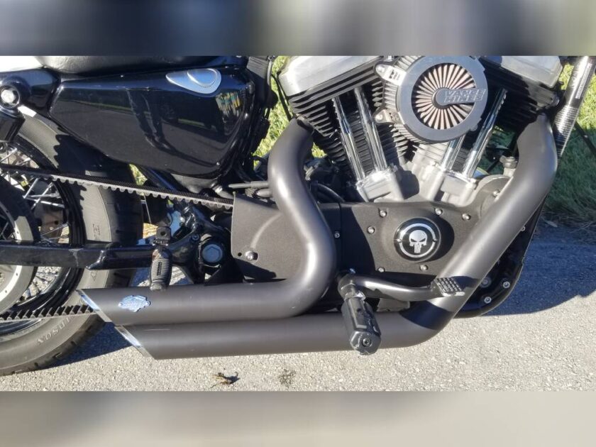 2009 Harley-Davidson CUSTOM - Image 3