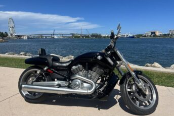 2015 Harley-Davidson V-ROD V-ROD MUSCLE