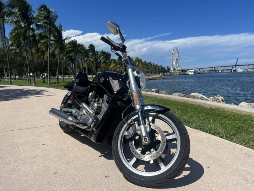 2015 Harley-Davidson V-ROD V-ROD MUSCLE - Image 7