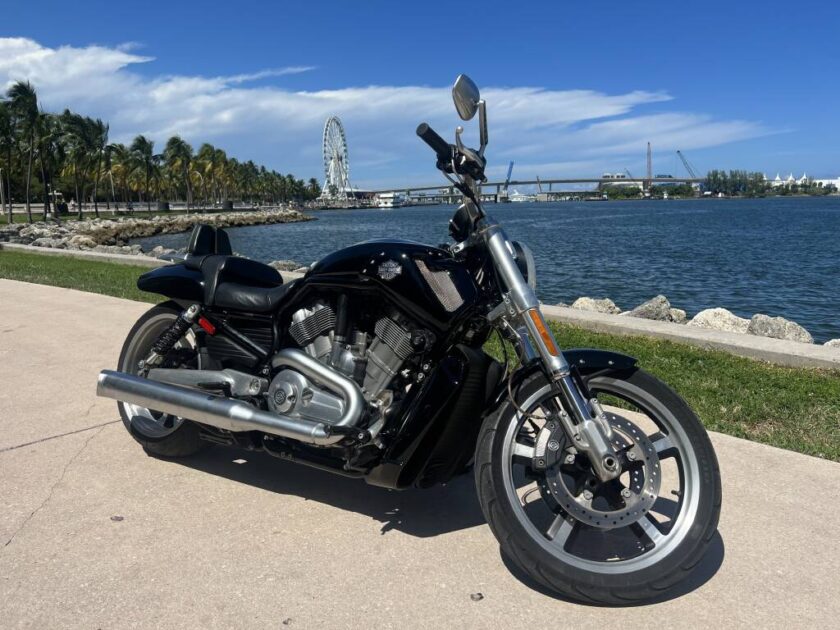 2015 Harley-Davidson V-ROD V-ROD MUSCLE - Image 13
