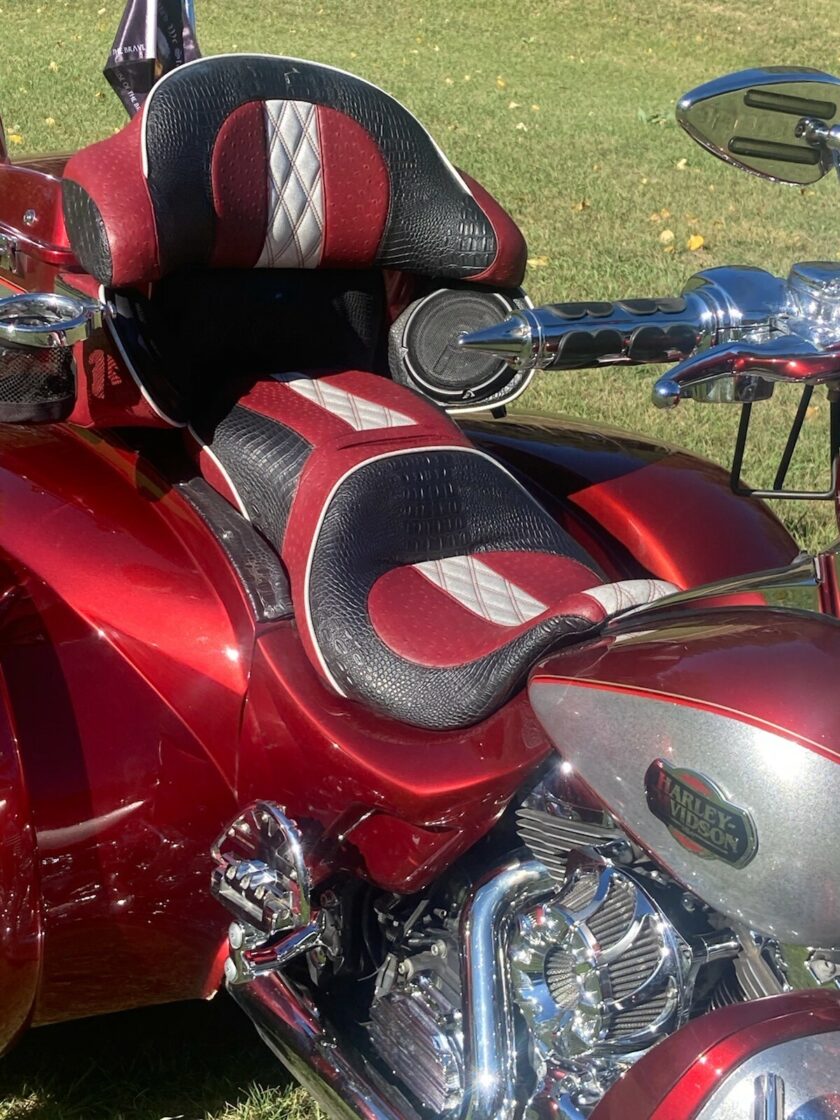 2009 Harley-Davidson TRI GLIDE TRIKE - Image 21