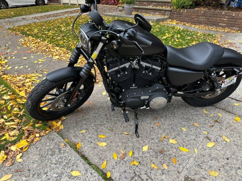 2010 Harley-Davidson SPORTSTER 883 IRON - Image 3