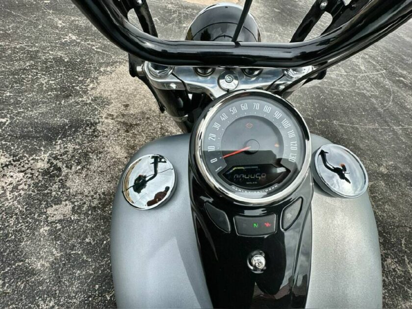 2020 Harley-Davidson® Softail Slim® - Image 20