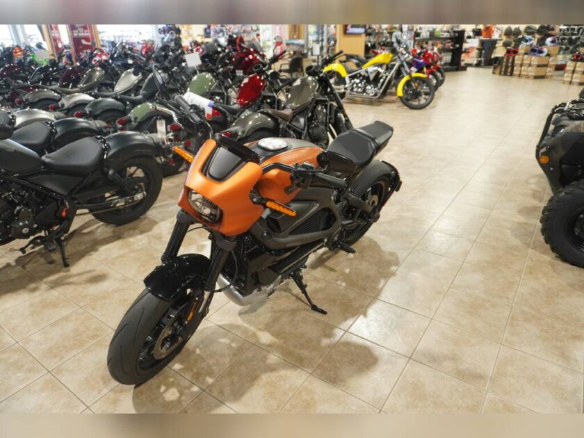 2020 HARLEY-DAVIDSON LIVEWIRE ELW