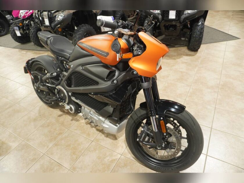 2020 HARLEY-DAVIDSON LIVEWIRE ELW - Image 10