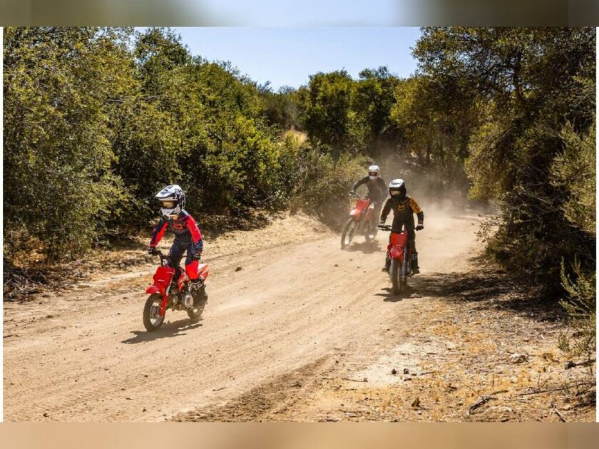 2023 Honda Dual Sport Motorcycle CRF50F For Sale - Image 18