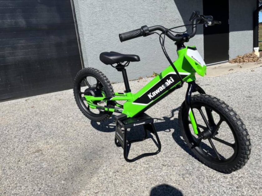 2023 Kawasaki Elektrode