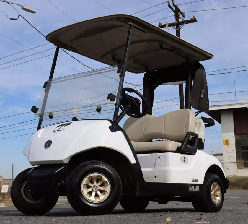 2020 Yamaha Drive2 - Image 8