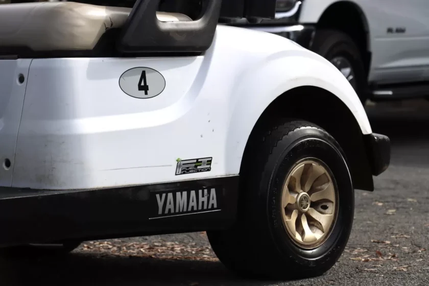 2020 Yamaha Drive2 - Image 3