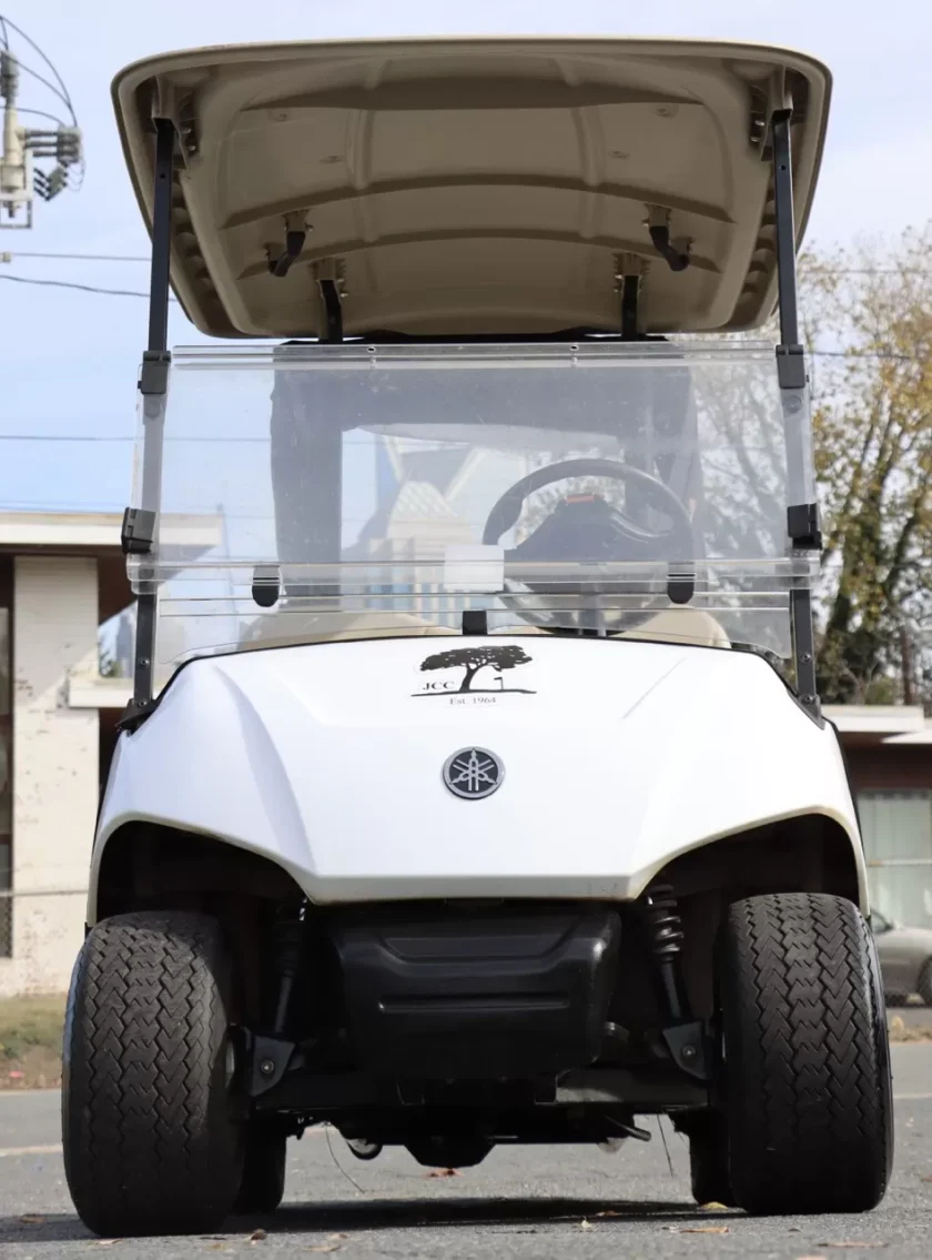 2020 Yamaha Drive2